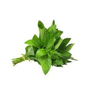 สารสกัดจากสะระแหน่เกรด A สารสกัดจากใบสะระแหน่ดิบแห้งมีกลิ่นหอม - Product Image 1