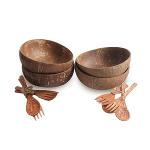 Bols et cuillères fabriqués à partir de coquilles de noix de coco écologiques naturelles Produits fabriqués à partir de noix de coco vietnamiennes Bols durables en gros - Product Image 3