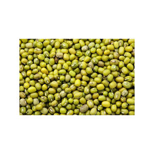 Haricots mungo Vigna, prix bas, approvisionnement en vrac, livraison rapide, prêt à l'exportation - Product Image 6
