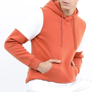 Sweats à capuche personnalisés en éponge française de haute qualité pour hommes pull surdimensionné sweats à capuche poids lourd 100% sweats à capuche en coton pour hommes - Product Image 1