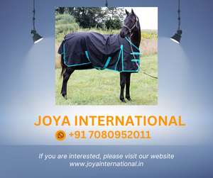 Feuille de pluie 1200 Denier Horse (feuille de participation imperméable/respirante et résistante au vent) feuille de pluie non pérenne (noir-turquoise, 72) - Product Image 2