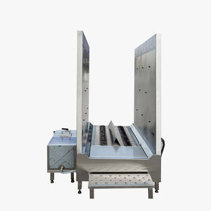 Nouveau système de tunnel de brossage et de désinfection automatique des semelles industrielles avec construction en acier inoxydable par Intermet Hygiene - Product Image 1