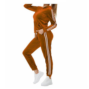 Ensemble de survêtements élégants et lourds en velours pour l'hiver Ensemble de survêtements et sweat à la mode pour dames avec logo personnalisé - Product Image 6