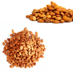 Grano de albaricoque | Rico en aceites naturales para líneas cosméticas - Product Image 5