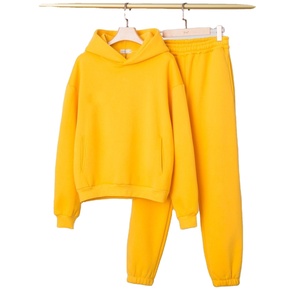 Ensemble de chandails en molleton pour femmes de qualité supérieure, épais et chaud en coton uni, à capuche simple, hauts courts, coupe régulière, 2 pièces - Product Image 1