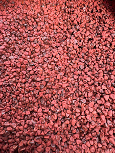 Bixa Orellana เครื่องเทศออเรียเม็ดสีแดงเมล็ด annatto ธรรมชาติสำหรับใช้เครื่องสำอางเครื่องดื่มอาหาร - Product Image 3