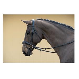 La brida de cuero más vendida combina funcionalidad con la comodidad del caballo y una sola pieza en forma de estilo deportivo - Product Image 3