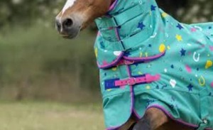 พรมม้าท้องฟ้าสีฟ้ากันน้ำ, ผ้าคลุมฤดูหนาวฤดูร้อนขี่แข่งระบายอากาศป้องกันฝนทำจากวัสดุผ้าฝ้ายโพลีเอสเตอร์ - Product Image 2