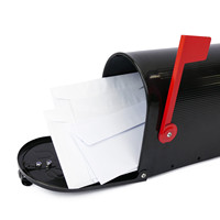 Boîte aux lettres murale ou autoportante, design personnalisable, en acier inoxydable, antivol, étanche, finition thermolaquée pour