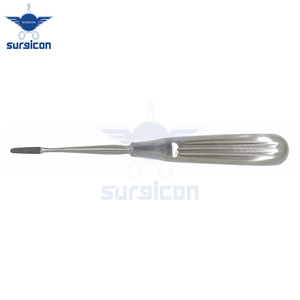 Haute qualité en acier inoxydable rongeur molaire râpe élévateur à dents manuel droit incurvé extraction des dents lève-racine pour vétérinaire - Product Image 3