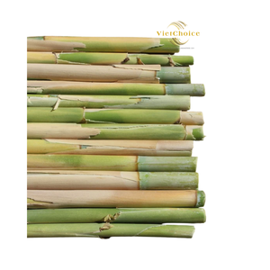 Soporte para Plantas de Jardín de Origen Vietnamita de Alta Calidad, Personalizado, 40 cm 300 cm, Mejor Precio, Poste de Bambú Natural Ecológico y Resistente - Product Image 3