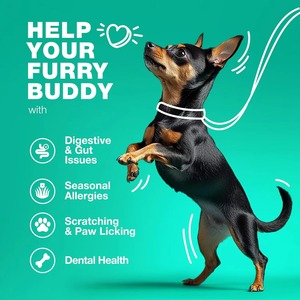 Suplemento Probiótico <span class=keywords><strong>para</strong></span> Mascotas OEM/ODM <span class=keywords><strong>para</strong></span> <span class=keywords><strong>Perros</strong></span> y Gatos, Refuerza el Sistema Inmunitario, Promueve la Salud Intestinal, Masticables Blandos con Vitaminas y Minerales - Product Image 4