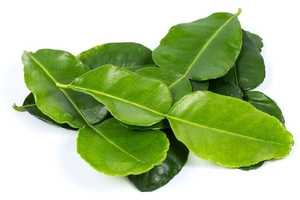 Hoja de Limón Seca del Delta de Vietnam |   Estándar de Exportación - Product Image 6