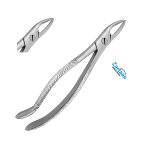 Fórceps de Extracción de Acero Inoxidable de Alta Calidad Fig. Fabricante y Exportador de 76 Instrumentos Dentales - Product Image 2