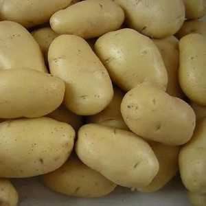 Big Size <b>Potatoes</b> with Lowest Price <b>Potatoes</b> Crop Year 2023 - Product Image 3