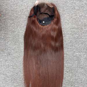 Meilleure vente 100% extensions de cheveux crus vietnamiens naturel droit HD dentelle fermeture perruque 7x7 couleur marron 22 pouces - Product Image 1