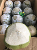 Hot Product van de Maand - VIET THIEN PHU Biologische Jonge Verse Kokosnoot - Hele Schil - Premium Kwaliteit - Gratis Sample