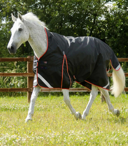 Manta para Caballo Impermeable Personalizada, Manta de Exterior Transpirable y Duradera para Equitación, Mantas para Caballo Personalizadas para Montar al Aire Libre y Establos - Product Image 4