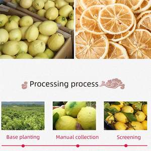 Rodajas de limón fresco orgánico de la mejor calidad-Cóctel deshidratado de primera calidad Garnishes-250g limones secos - Product Image 2