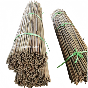 Petits intraoculaires en bambou de 6 à 8mm, dimensions de 8 à 10mm et 90cm, élément de tuckage - Product Image 2