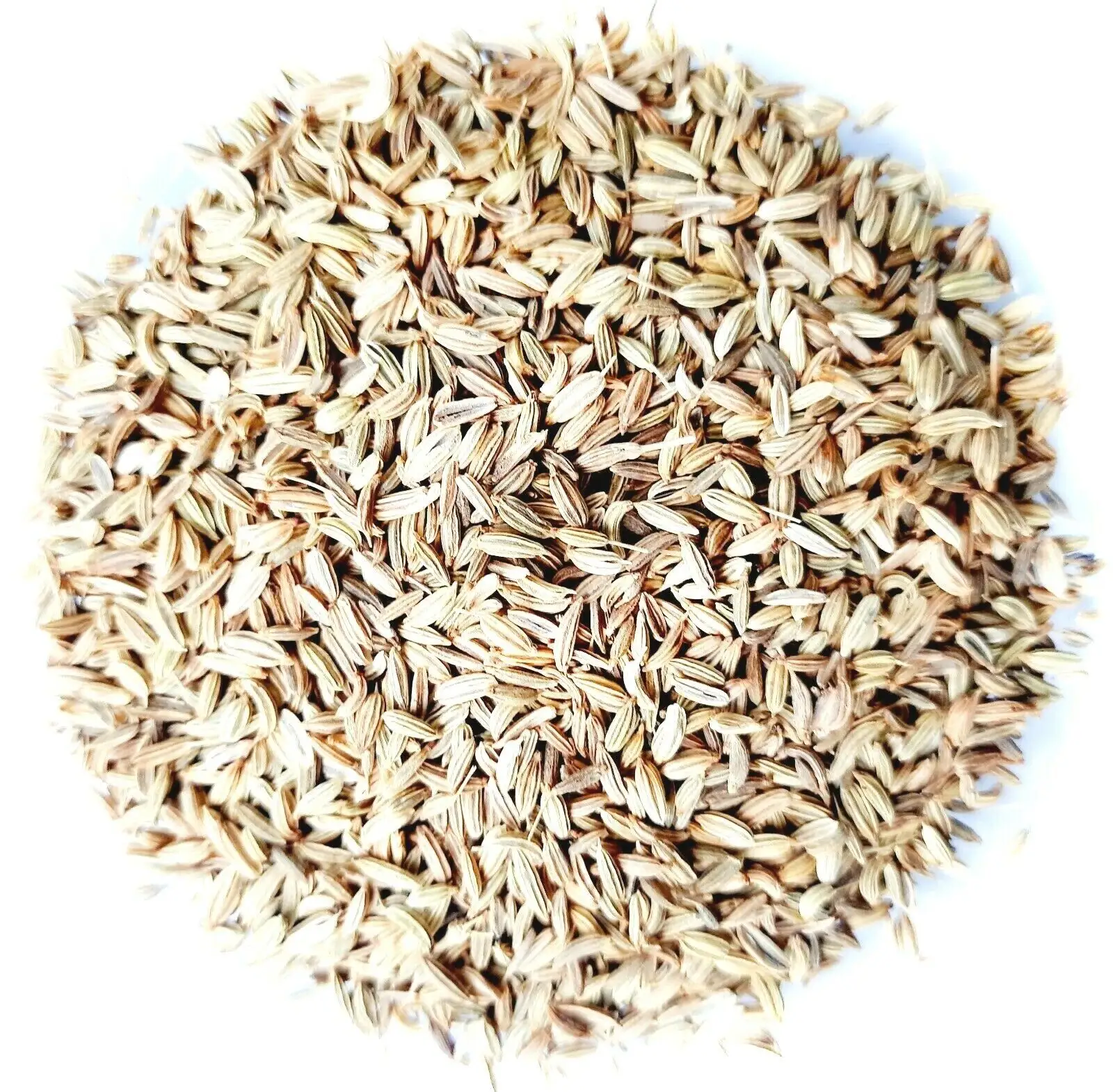 Semillas de comino secas de alta calidad, semillas de hinojo enteras
