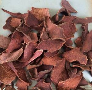 Producto Agrícola de Flor de Tuber Fleeceflower, Hecho a Mano en Vietnam, con 2 Años de Vida Útil, Marca WelltechVN - Product Image 1