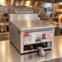 Friteuse à gaz de comptoir, machine à frire au gaz commerciale pour poulet frit, frites et snacks