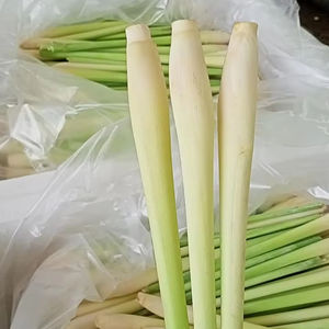 Citronnelle congelée IQF-citronnelle tranchée/citronnelle hachée pour l'exportation de légumes surgelés Produit-FOURNISSEUR VIETNAM/ Ms. Selina - Product Image 1