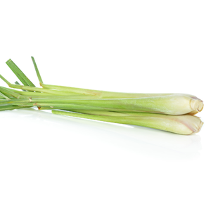 หญ้าลวดหนามตะไคร้2024ที่จัดหาโดยตรงจากเวียดนามผลิตภัณฑ์ทางการเกษตรขายดีพร้อมส่วนลดจากการส่งออก - Product Image 6