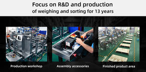 Báscula de Control de Peso de Alta Precisión de Tres Etapas con Precisión de 0.1g, Personalizable OEM, Máquina de Pesaje Automática <span class=keywords><strong>en</strong></span> Línea - Product Image 6
