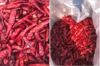 Échantillons gratuits/Meilleur prix poudre de piment séché riche saveur épicée épices et herbes simples de l'usine de source du Vietnam-ANNA DO