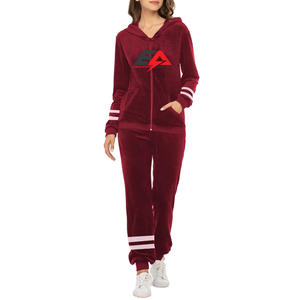 2024 nouveauté meilleure qualité logo personnalisé vente chaude survêtement pour femmes vêtements d'hiver dames survêtement ensemble - Product Image 1