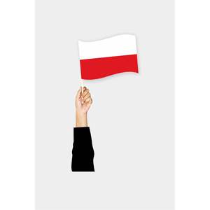 Custom 3x5ft Poland <b>Pocket</b> Flag with Digital Printing Featuring Cotton <b>Plastic</b> Silk Material for Automotive Insurance Education - Product Image 1