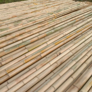 Producto de bambú agrícola vietnamita Arquitectura de paisaje natural al aire libre ecológica - Product Image 4