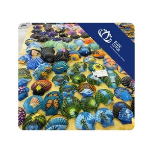 เปลือกหอยหอยเชลล์ตกแต่งด้วยมือคุณภาพสูงสำหรับบ้านหรือสำนักงานเครื่องประดับเปลือกหอยทะเลธรรมชาติสำหรับตกแต่งชายฝั่ง - Product Image 1