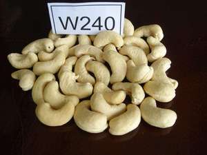 Noix de cajou de qualité W240, W320, W450 |   Grains bruts et séchés |   Exportation en gros vers les États-Unis, l'UE, le Moyen-Orient |   Convient pour les collations (Joice) - Product Image 2