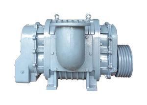 Souffleur d'air haute pression FB250 / Souffleur d'air Roots Vinaroy, équipement utilisé dans les systèmes de traitement des eaux usées et l'aquaculture. - Product Image 3