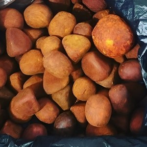 Natural <b>Ox</b> Gallstones <b>Bile</b> Powder Cattle Gallstones Bezoar Animal Extract Raw Material for Health Food - Product Image 4