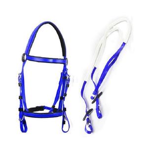 Nouvelle arrivée : bride d'équitation verte en PVC réglable, comprend une licol, une rêne et une bride en acier inoxydable - Product Image 2