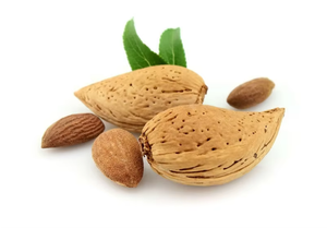 Almendras Amargas Orgánicas Crudas Secadas al Sol de Primera Calidad, Bolsas de 10 kg al por Mayor, Almendras Amargas Tostadas - Product Image 3