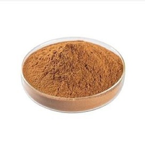 Extrait de plante naturelle Calotropis procera à bas prix - Product Image 1