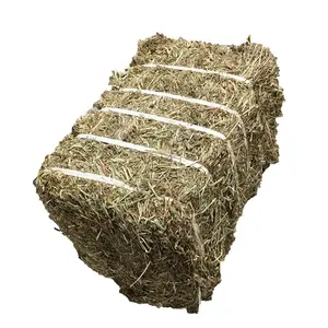 Animal Feeding Timothy or Alfalfa Hay in Bales for Sale for Wholesale/ Bermuda Orchard Grass Oat Hay