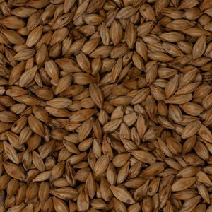 Grains de brassage naturels Grains de brasseur à haute teneur en protéines Parfait pour l'alimentation des bovins, des volailles et des animaux de ferme - Product Image 6
