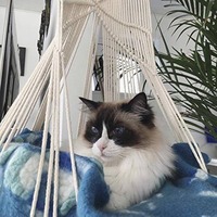 Hamac suspendu confortable et moderne pour chat, motif personnalisé, tissé à la main, en polyester/coton, pour intérieur, fenêtre en baie, lit ou niche