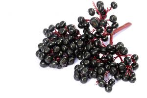 Melhor Qualidade Pura e Natural Secas Black <span class=keywords><strong>Elderberry</strong></span> Fruit Extract Powder a Preço de Atacado da Índia