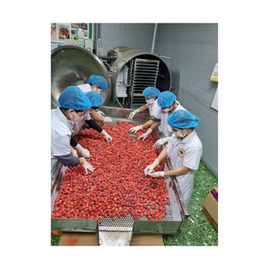 Aperitivo de fresa afrutado, Vietnam hecho de productos frescos de dulce y crujiente, ideal para pedidos minoristas o OEM - Product Image 2