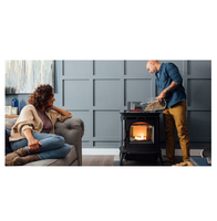 Poêle à granulés de bois durable à vendre Chauffage écologique à bas prix pour le chauffage de la maison avec une longue durée de combustion et un contrôle facile