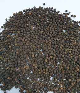 Especias aromáticas y audaces de pimienta negra Premium de Vietnam para cocinar, asar a la parrilla y a la parrilla, 530g/l, 550g/l, 580g/l (Sra. Lima) - Product Image 4