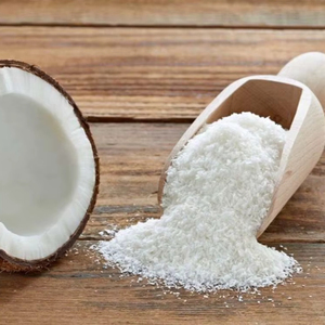 Fournisseur de poudre de noix de coco desséchée avec un délai d'exécution rapide - Product Image 1