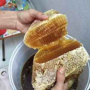 Unprocessed Raw Honey Food Grade Natural Bulk Herbal <b>Extract</b> Wild Liquid Manufacturer OEM Private Label Available by FIT - Product Image 6